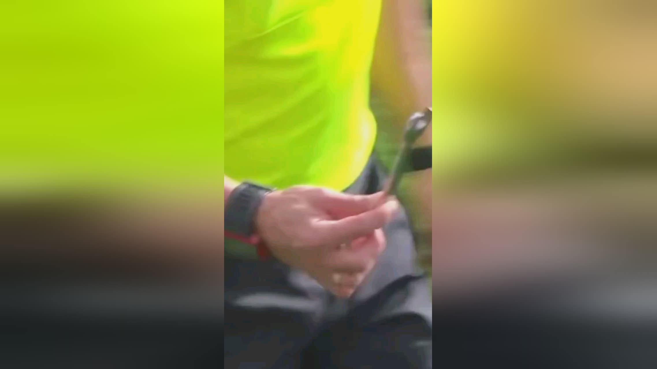 案例分